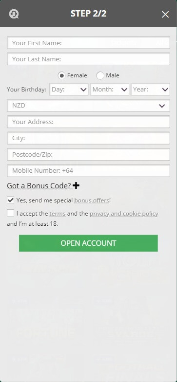 GreenPlay Casino Registration Process Image 2